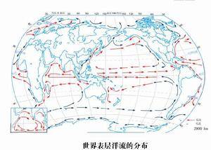 寒流,暖流_暖流寒流方向_暖流寒流示意图